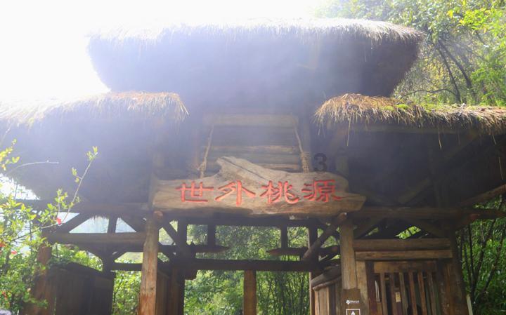 书法家送“福”写春联，将浓浓的年味送到企业和乡村